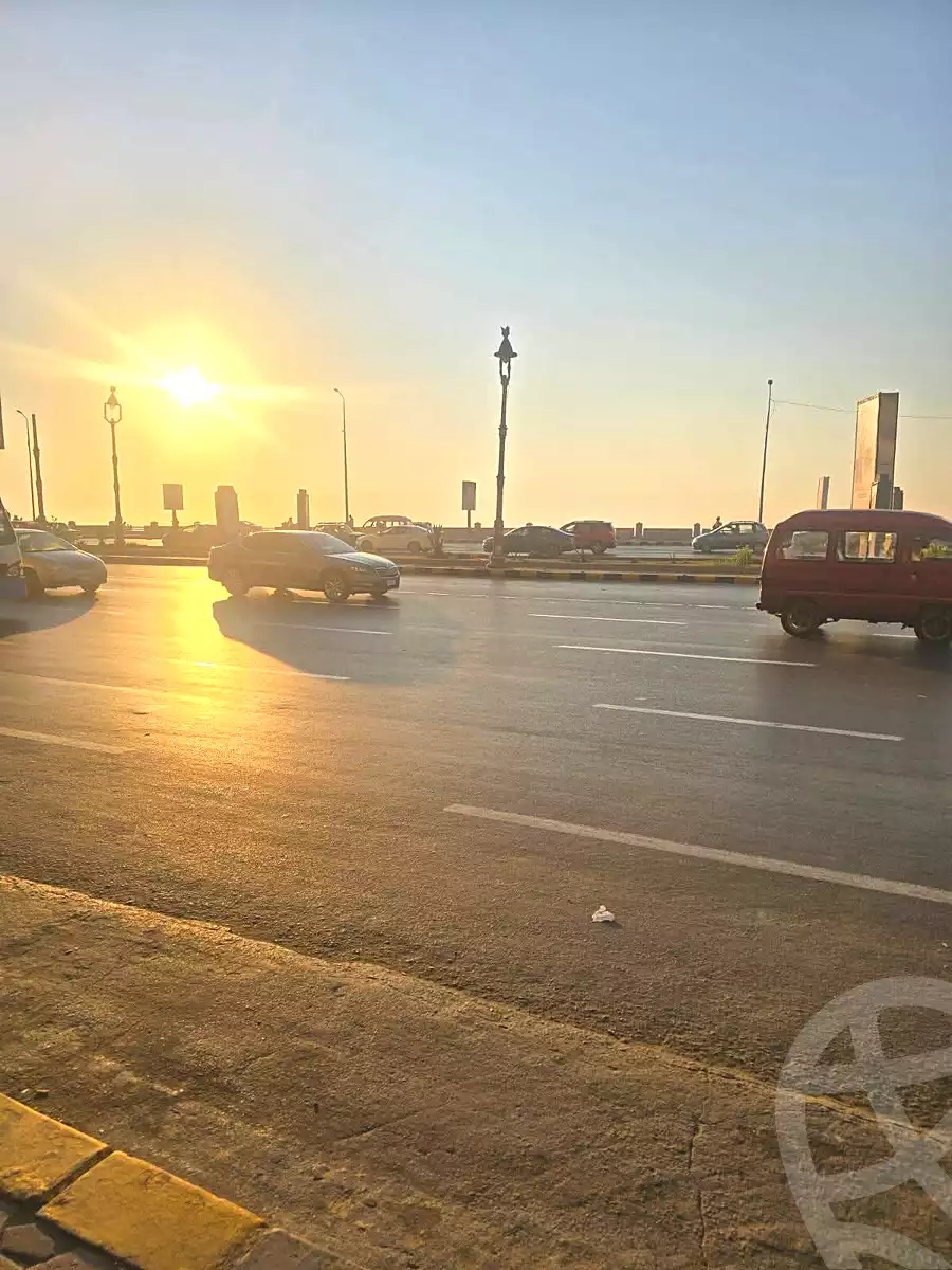 https://aqarmap.com.eg/en/listing/7194512-for-sale-alexandria-camp-cesar