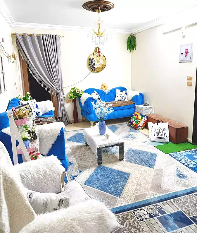 https://aqarmap.com.eg/en/listing/7194965-for-sale-cairo-ain-shams-yn-shms-lgrby