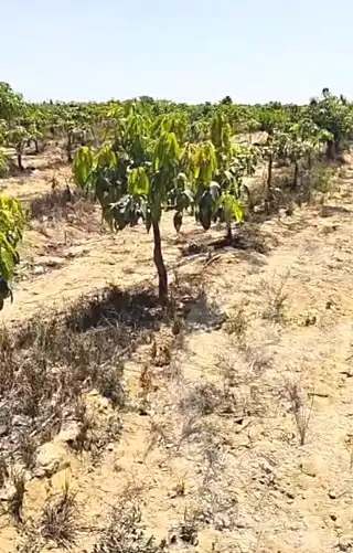 https://aqarmap.com.eg/en/listing/7198844-for-sale-beheira-wadi-el-natrun