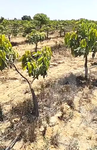 https://aqarmap.com.eg/en/listing/7198844-for-sale-beheira-wadi-el-natrun