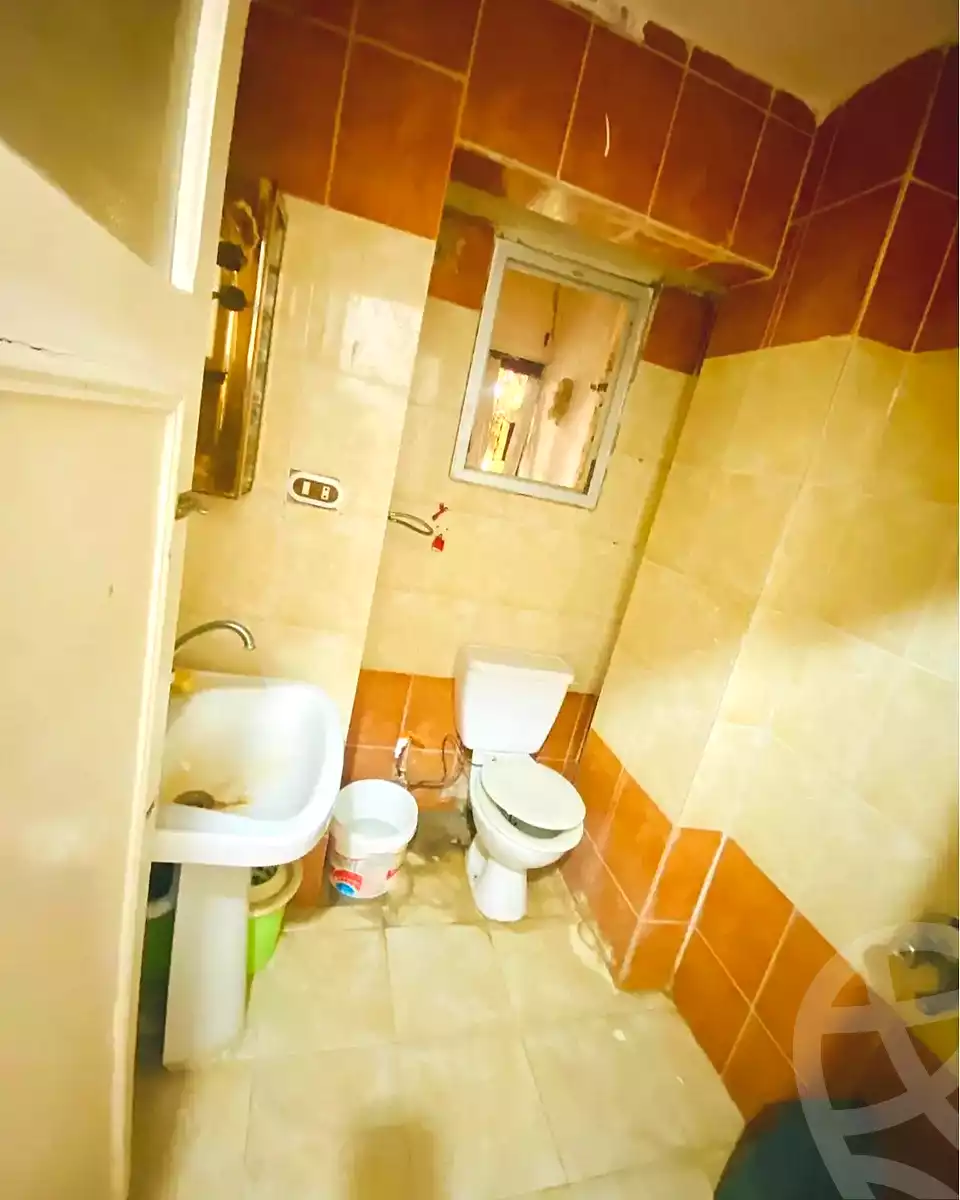 https://aqarmap.com.eg/en/listing/7203821-for-sale-alexandria-al-agamy-lbytsh-bianchiii-street-11