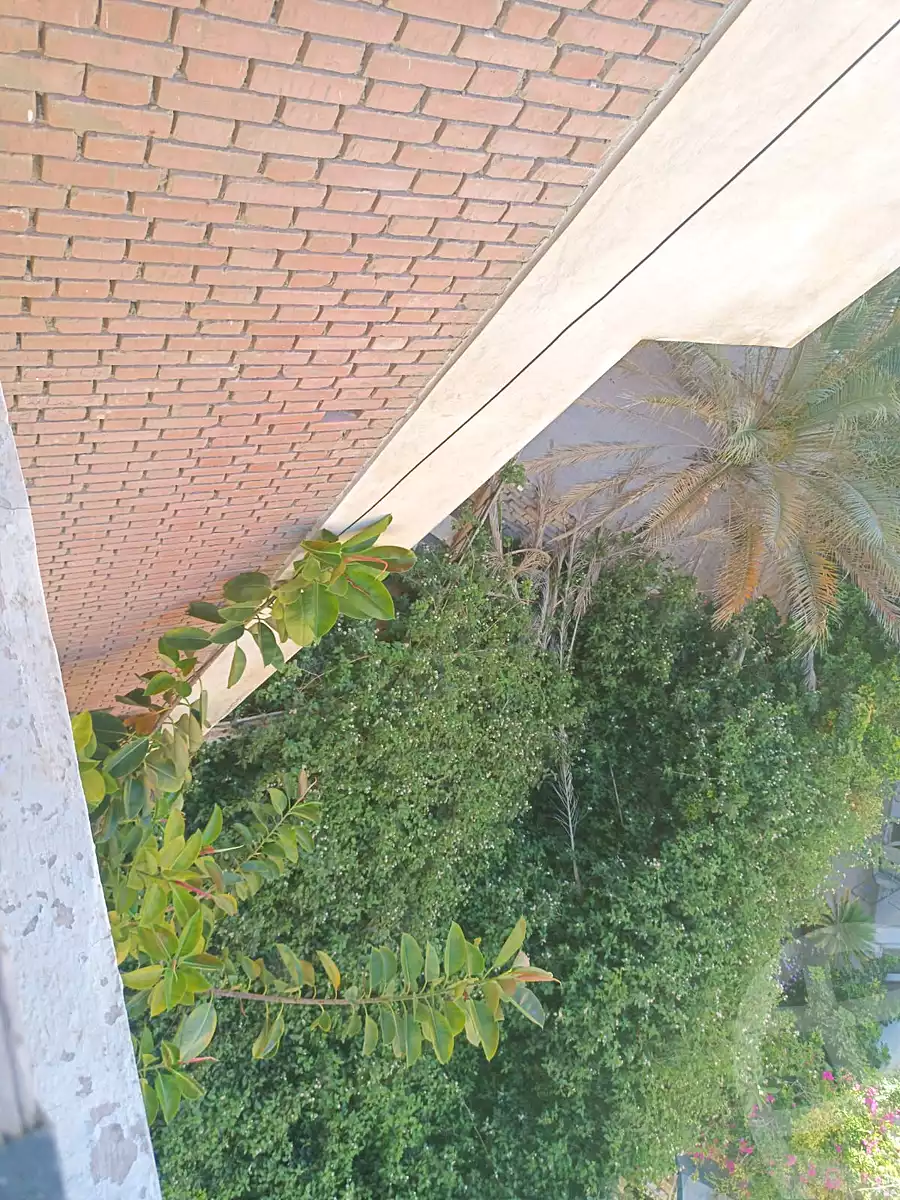 https://aqarmap.com.eg/en/listing/7203857-for-sale-alexandria-al-agamy-lbytsh-street-8