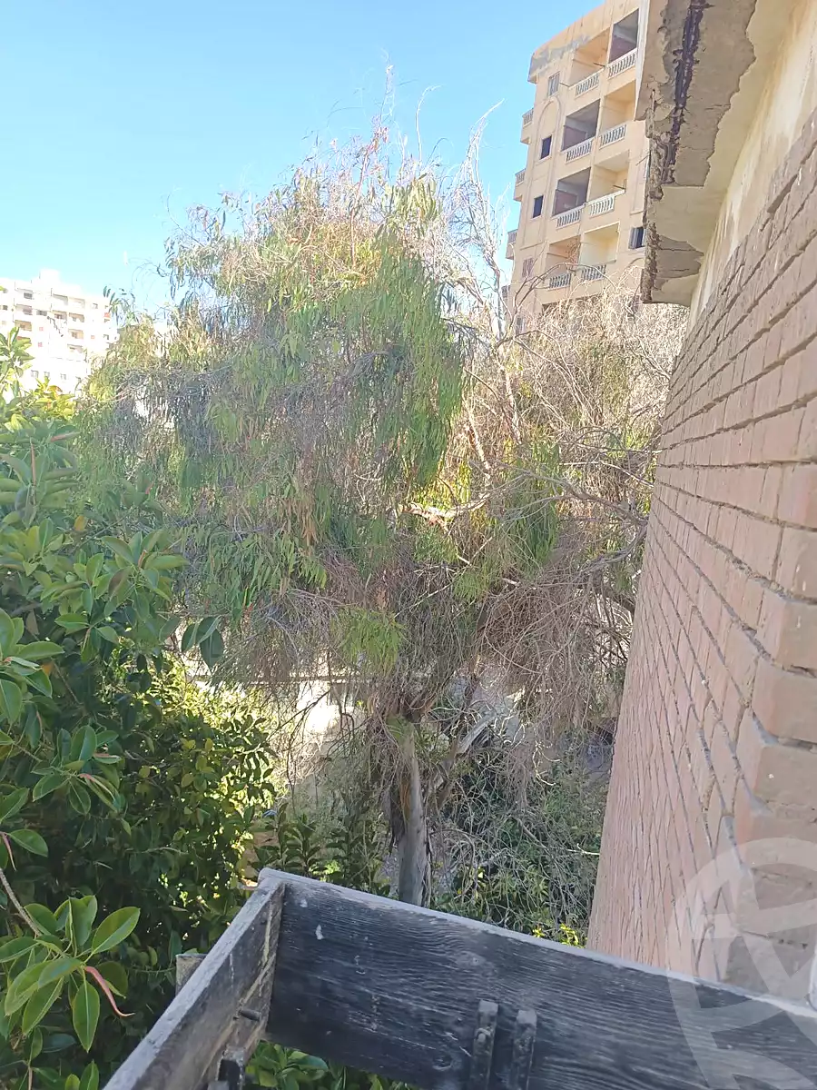 https://aqarmap.com.eg/en/listing/7203857-for-sale-alexandria-al-agamy-lbytsh-street-8