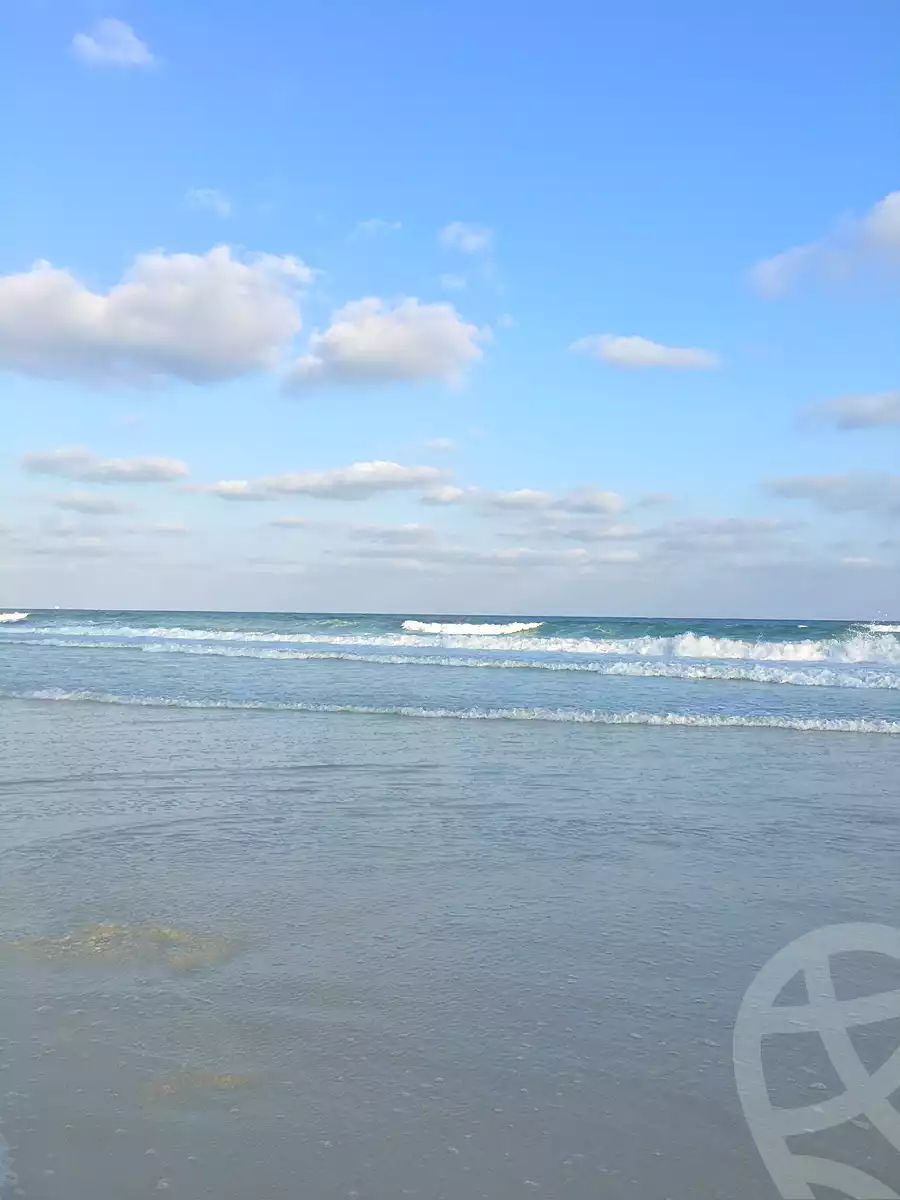 https://aqarmap.com.eg/en/listing/7203857-for-sale-alexandria-al-agamy-lbytsh-street-8