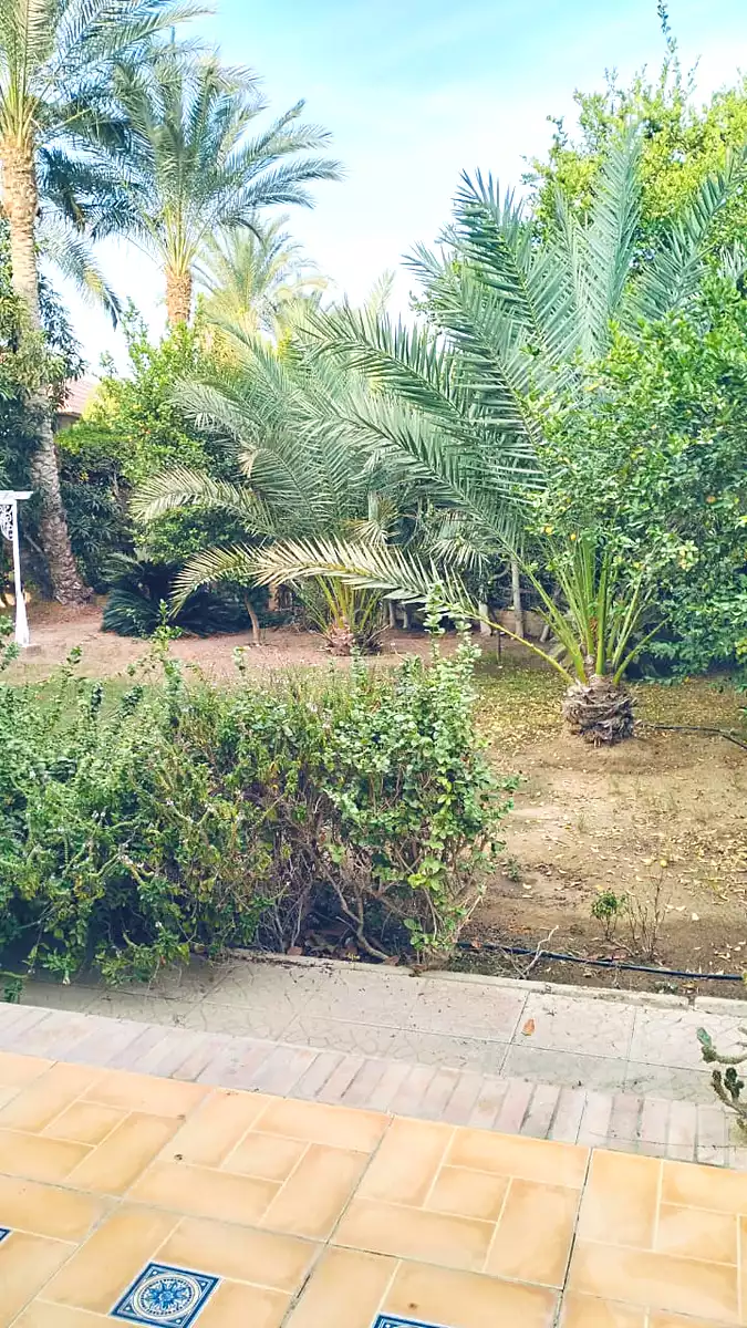 6 BR Villa in Al Rabwa, photo 7 of 11