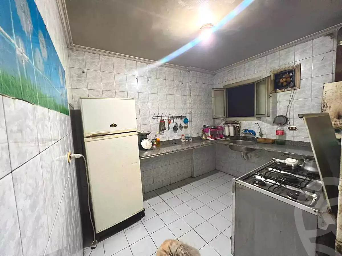 https://aqarmap.com.eg/ar/listing/7205401-for-sale-alexandria-lsywf-gamila-abu-herid-st