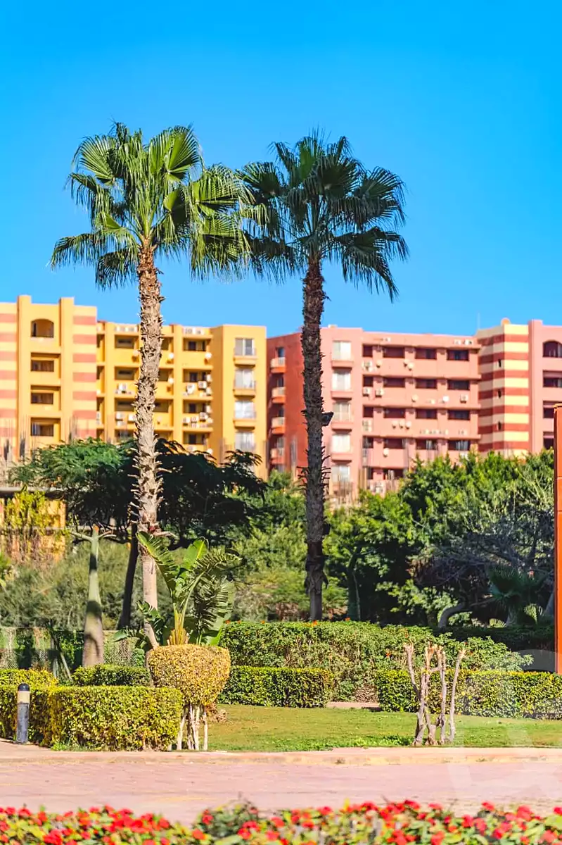 https://aqarmap.com.eg/en/listing/7207233-for-sale-north-coast-resorts-porto-golf-marina