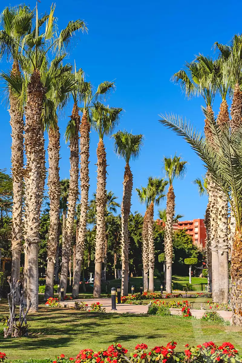 https://aqarmap.com.eg/en/listing/7207340-for-sale-north-coast-resorts-porto-golf-marina