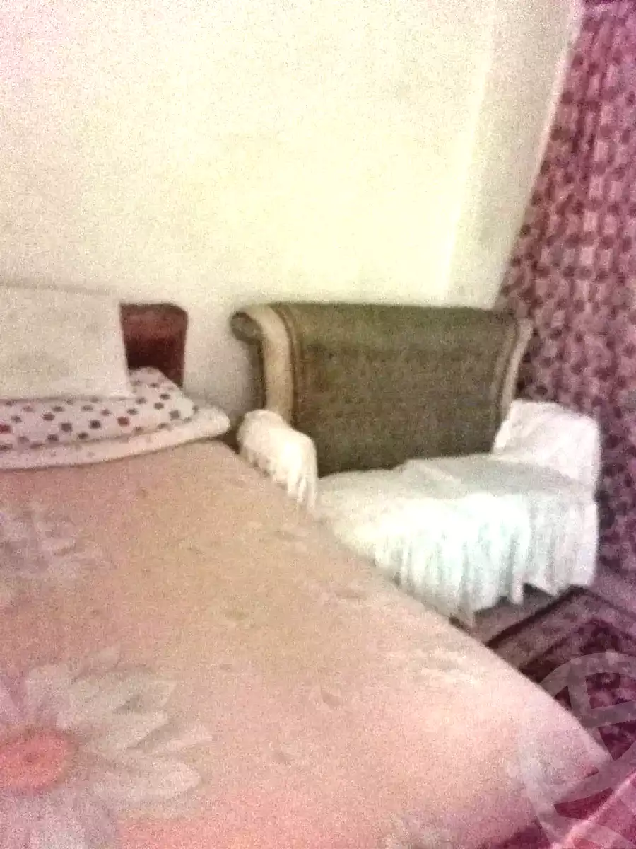 https://aqarmap.com.eg/ar/listing/7210938-for-rent-cairo-ljyz