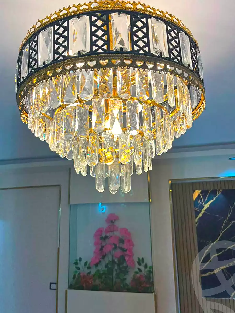 https://aqarmap.com.eg/en/listing/7211528-for-sale-cairo-ain-shams