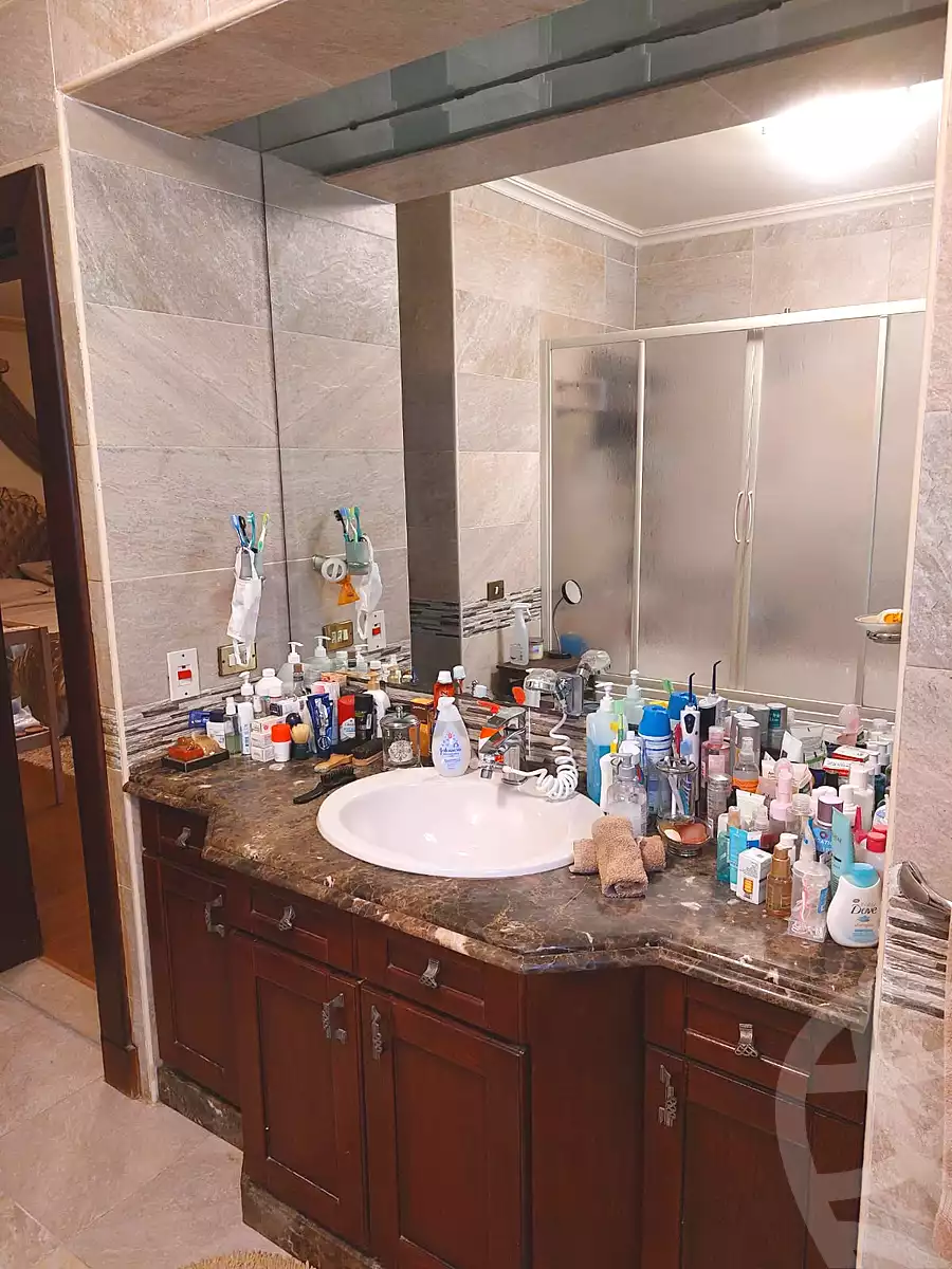 4 BR Twinhouse in Mena Garden City, photo 51 of 71