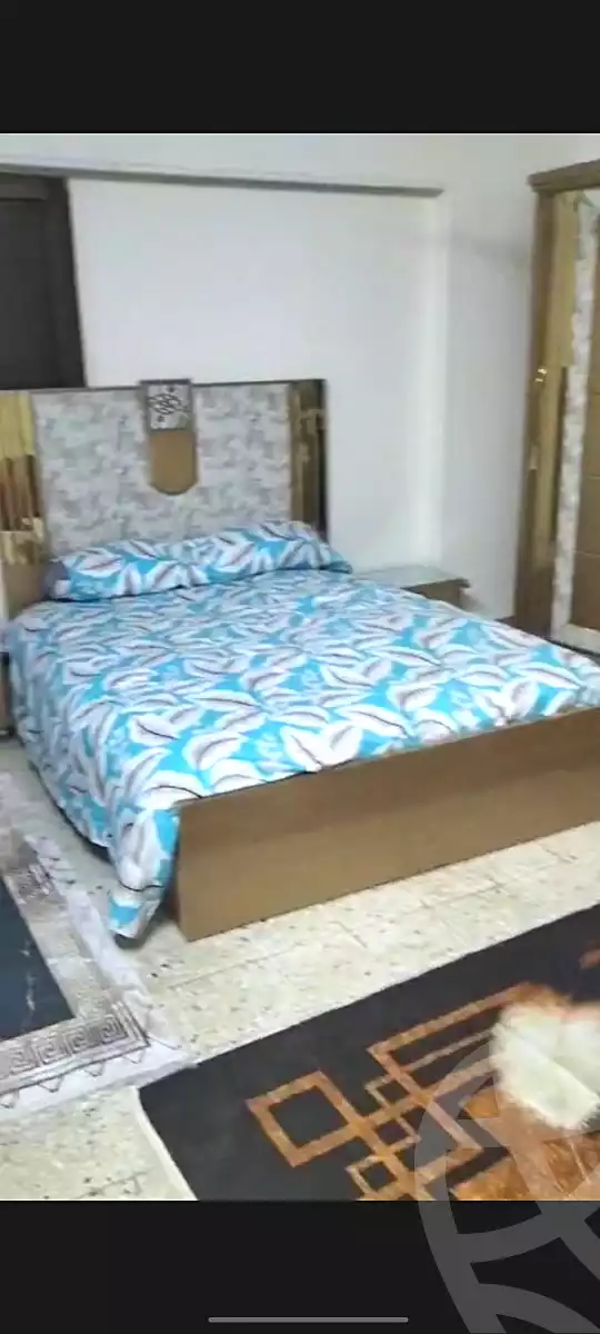 https://aqarmap.com.eg/en/listing/7214311-for-rent-cairo-ain-shams-jsr-lswys-tqsym-mr-bn-lkhtb