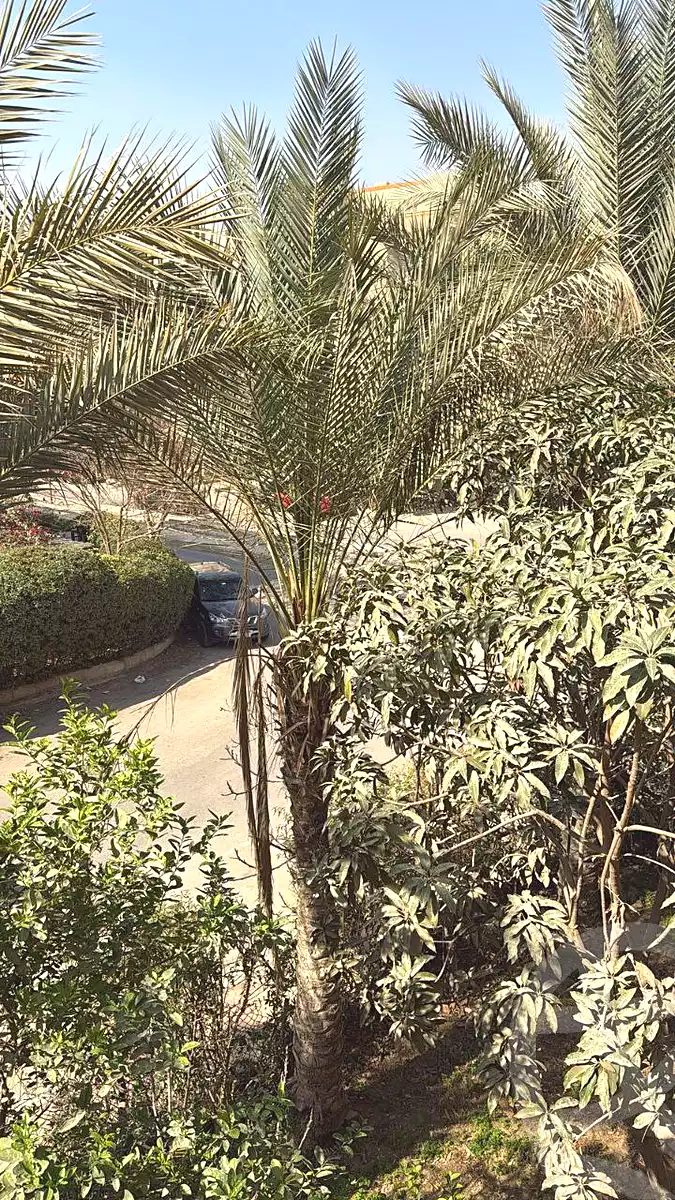 https://aqarmap.com.eg/ar/listing/7215019-for-sale-cairo-new-cairo-first-settlement-neighbourhood-6-el-shaheed-khaled-el-gaafary-st
