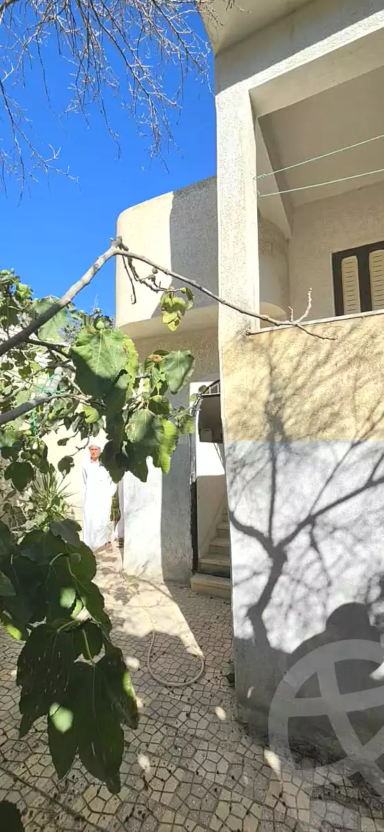 https://aqarmap.com.eg/en/listing/7215384-for-sale-alexandria-abu-talat
