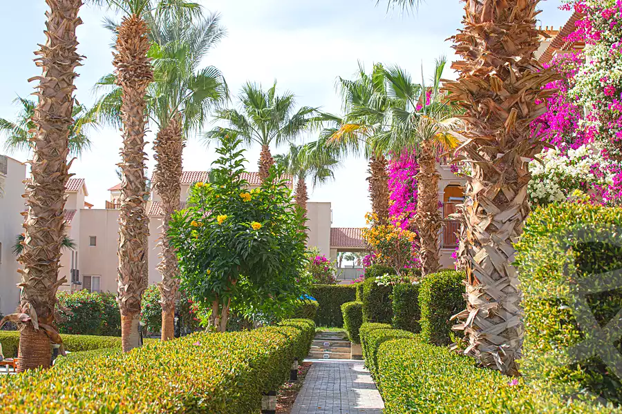https://aqarmap.com.eg/ar/listing/7216401-for-sale-red-sea-sahl-hasheesh-sahl-hasheesh-resorts-veranda