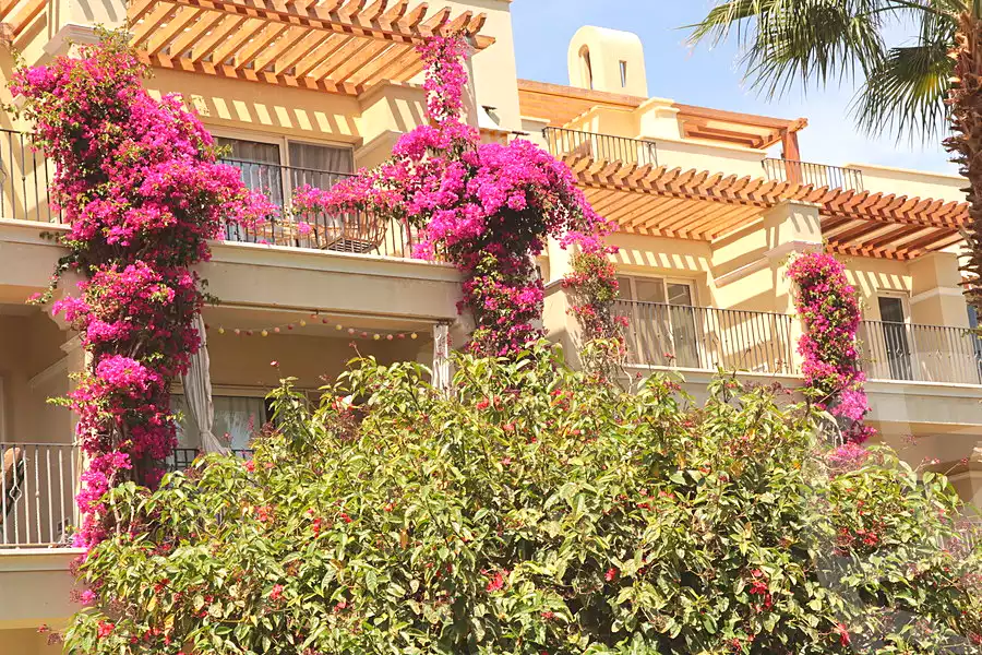 https://aqarmap.com.eg/en/listing/7216475-for-sale-red-sea-sahl-hasheesh-sahl-hasheesh-resorts-veranda