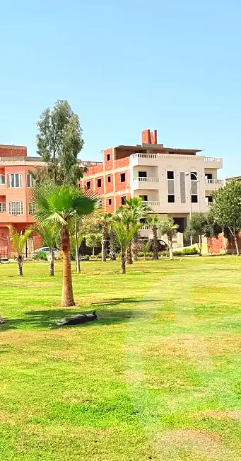 https://aqarmap.com.eg/ar/listing/7218693-for-sale-cairo-6th-of-october-garb-someed-neighborhood-14th-el-nabatat-st