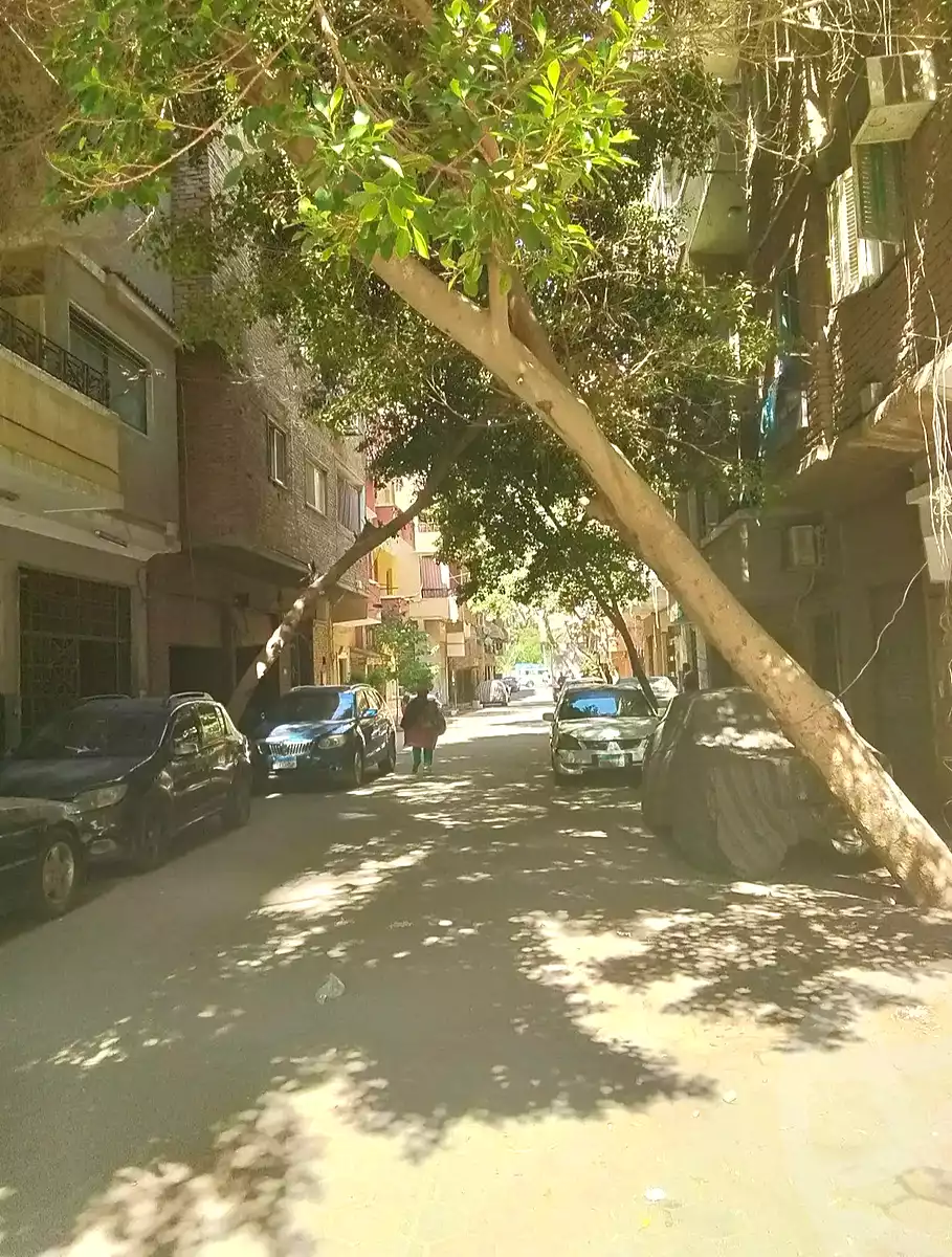 https://aqarmap.com.eg/ar/listing/7218710-for-sale-cairo-faisal