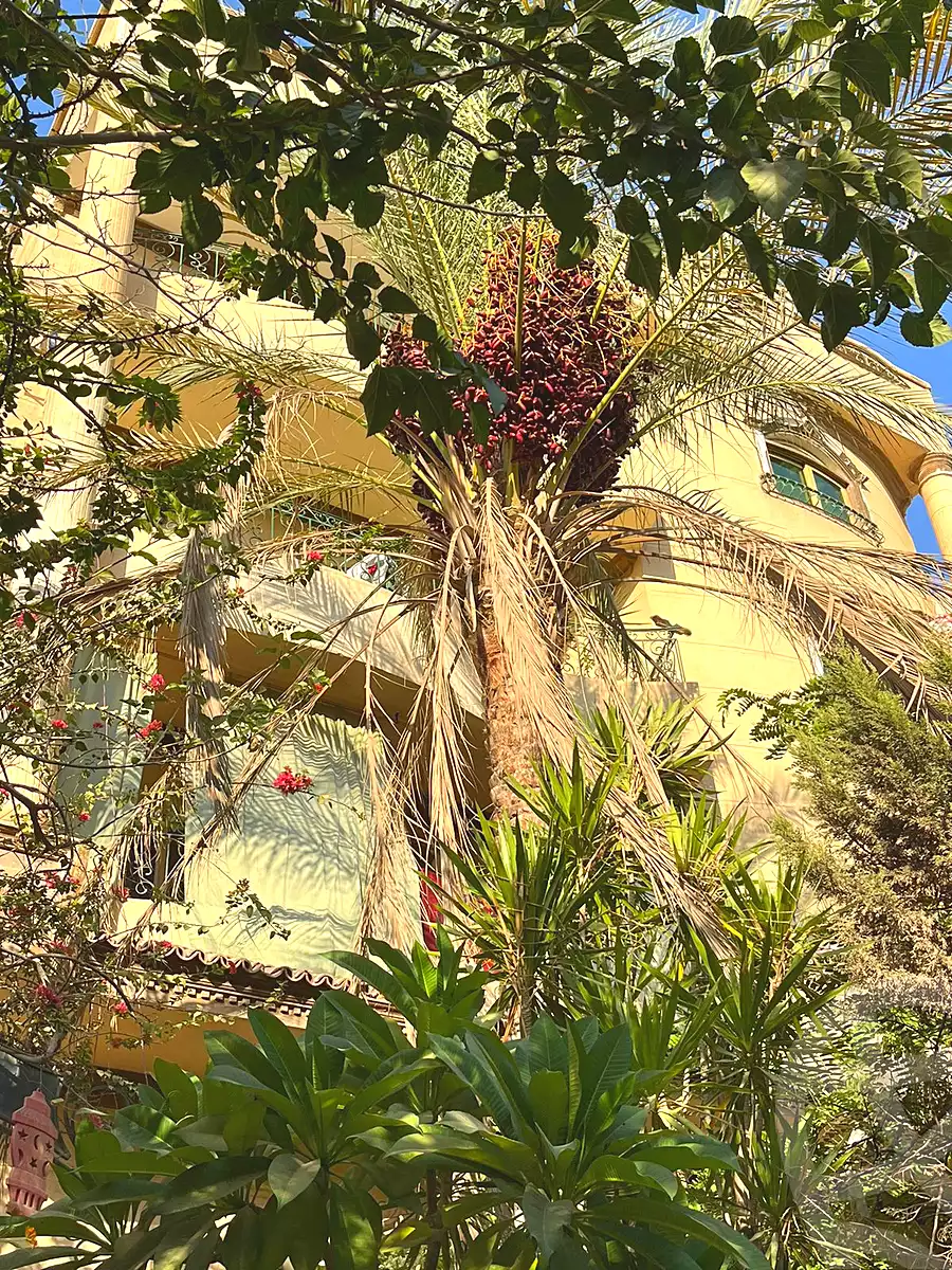 https://aqarmap.com.eg/ar/listing/7219707-for-sale-cairo-6th-of-october-central-axis