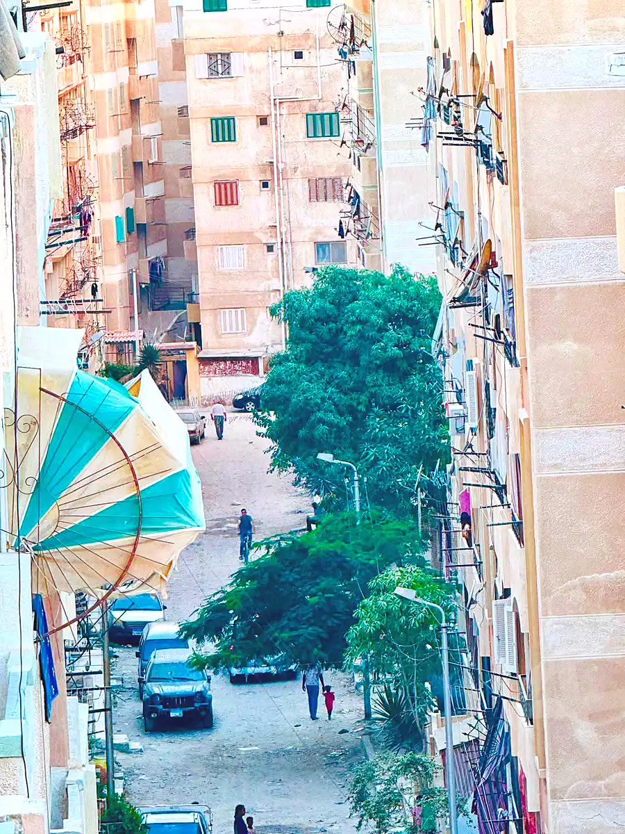 https://aqarmap.com.eg/ar/listing/7220434-for-sale-alexandria-al-agamy-shataa-el-nakheel