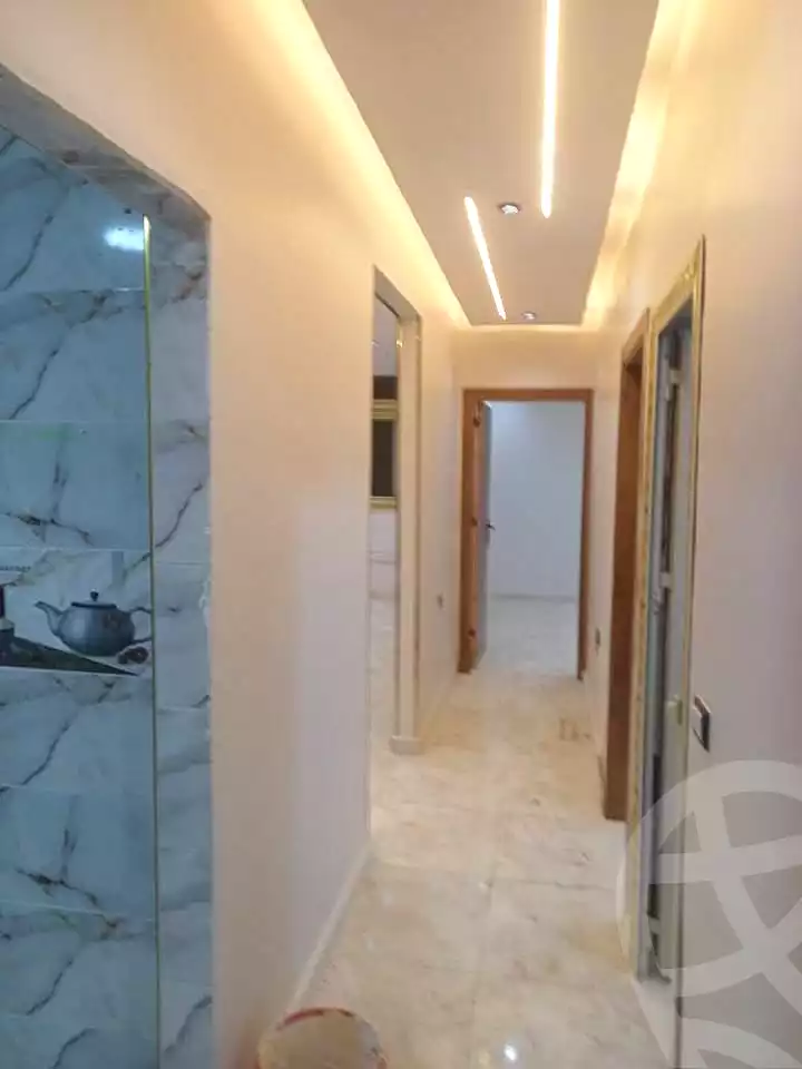 https://aqarmap.com.eg/en/listing/7227665-for-rent-cairo-faisal