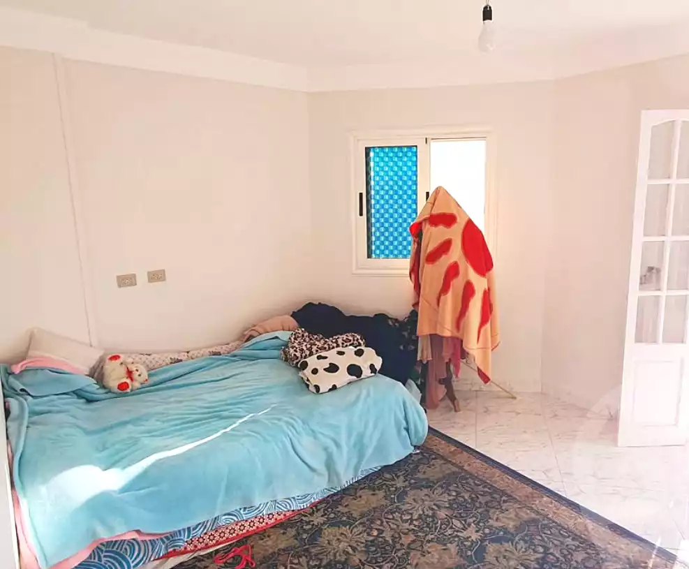 https://aqarmap.com.eg/en/listing/7229000-for-sale-alexandria-ganaklis