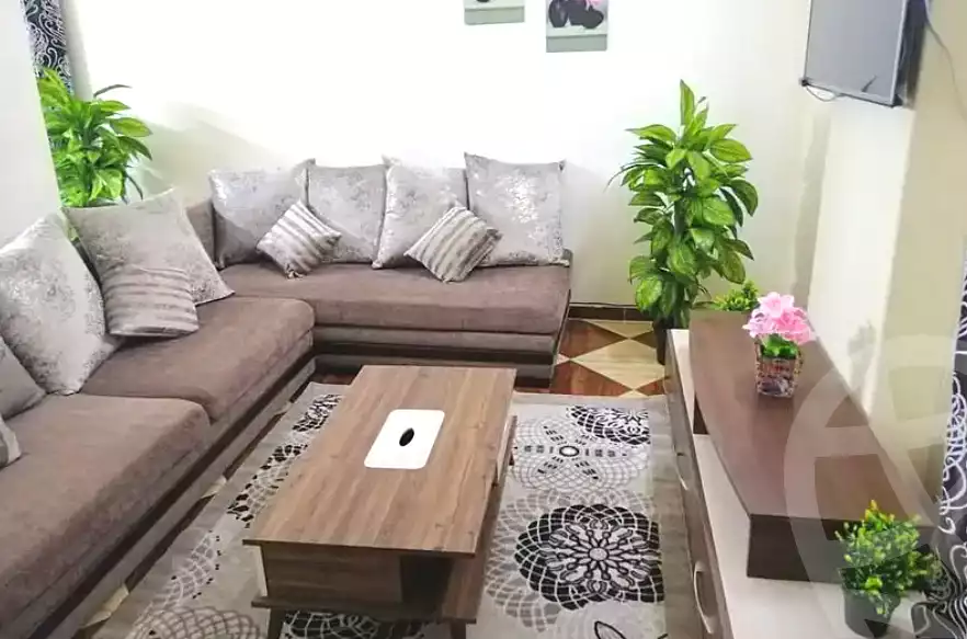 https://aqarmap.com.eg/en/listing/7232403-for-rent-alexandria-el-mandara