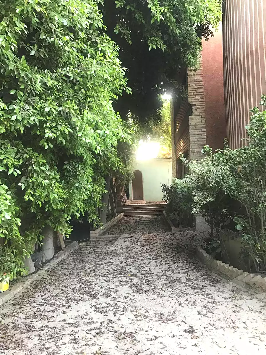 https://aqarmap.com.eg/en/listing/7233184-for-sale-alexandria-al-agamy-lbytsh-el-hanafeya-st