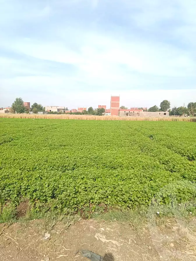 https://aqarmap.com.eg/ar/listing/7233834-for-sale-cairo-ljyz-wsym-el-barajil