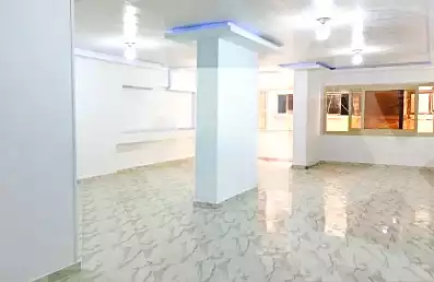 https://aqarmap.com.eg/en/listing/7234695-for-rent-alexandria-el-asafra