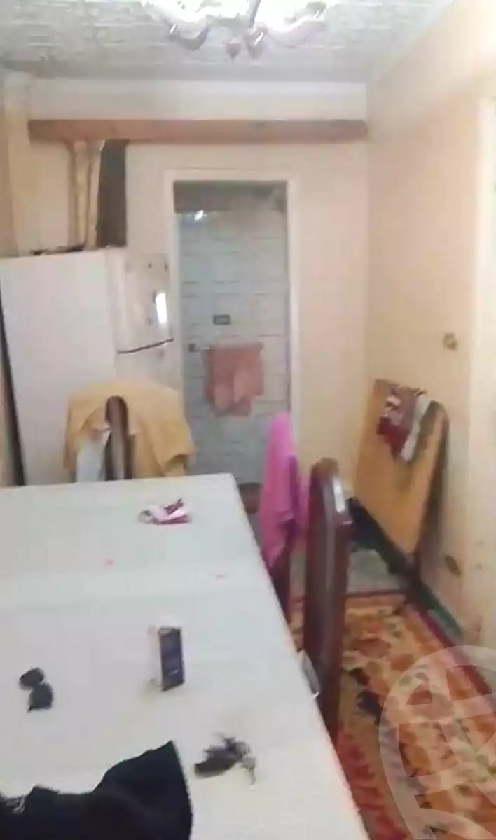 https://aqarmap.com.eg/ar/listing/7235100-for-sale-alexandria-fyktwry-shr-jml-bd-lnsr