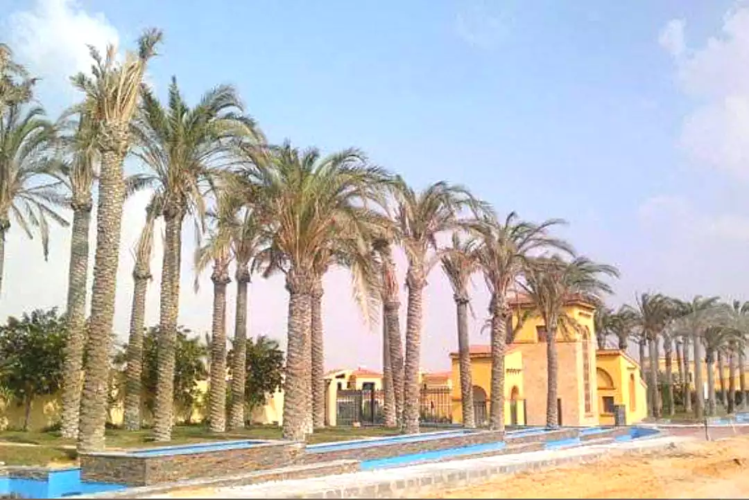 https://aqarmap.com.eg/ar/listing/7236347-for-sale-cairo-new-cairo-compounds-nest-cairo