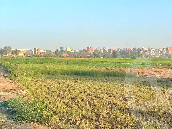https://aqarmap.com.eg/ar/listing/7236578-for-sale-dakahlia-mit-ghamr-met-el-korashi