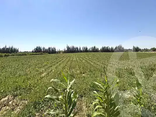 https://aqarmap.com.eg/en/listing/7236918-for-sale-beheira-wadi-el-natrun