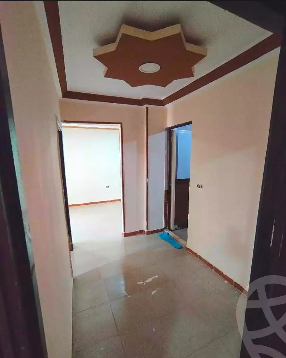 https://aqarmap.com.eg/en/listing/7237353-for-rent-alexandria-lsywf-el-falki