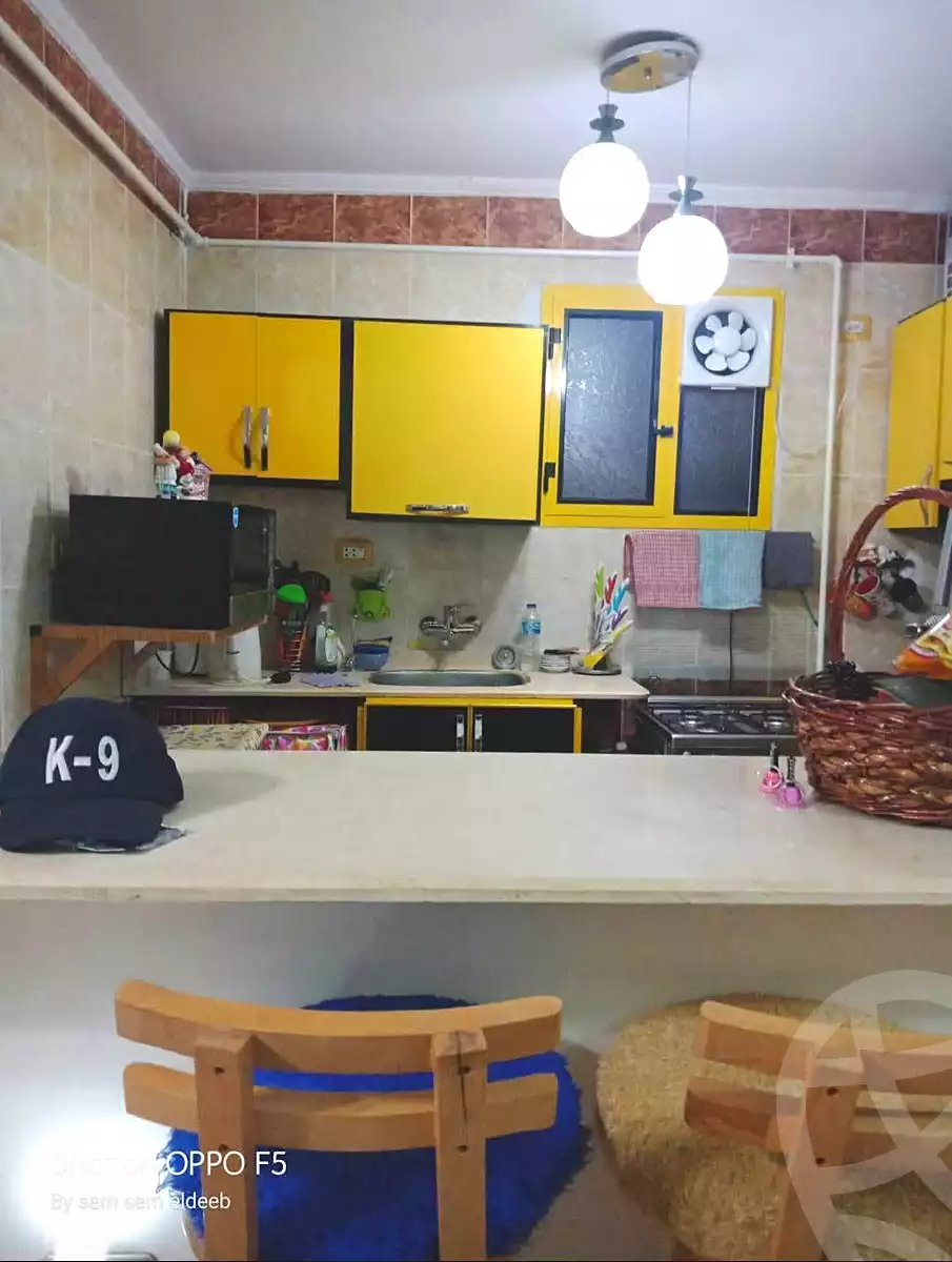 https://aqarmap.com.eg/ar/listing/7239202-for-sale-alexandria-lsywf-el-falki-street-16-el-eslah