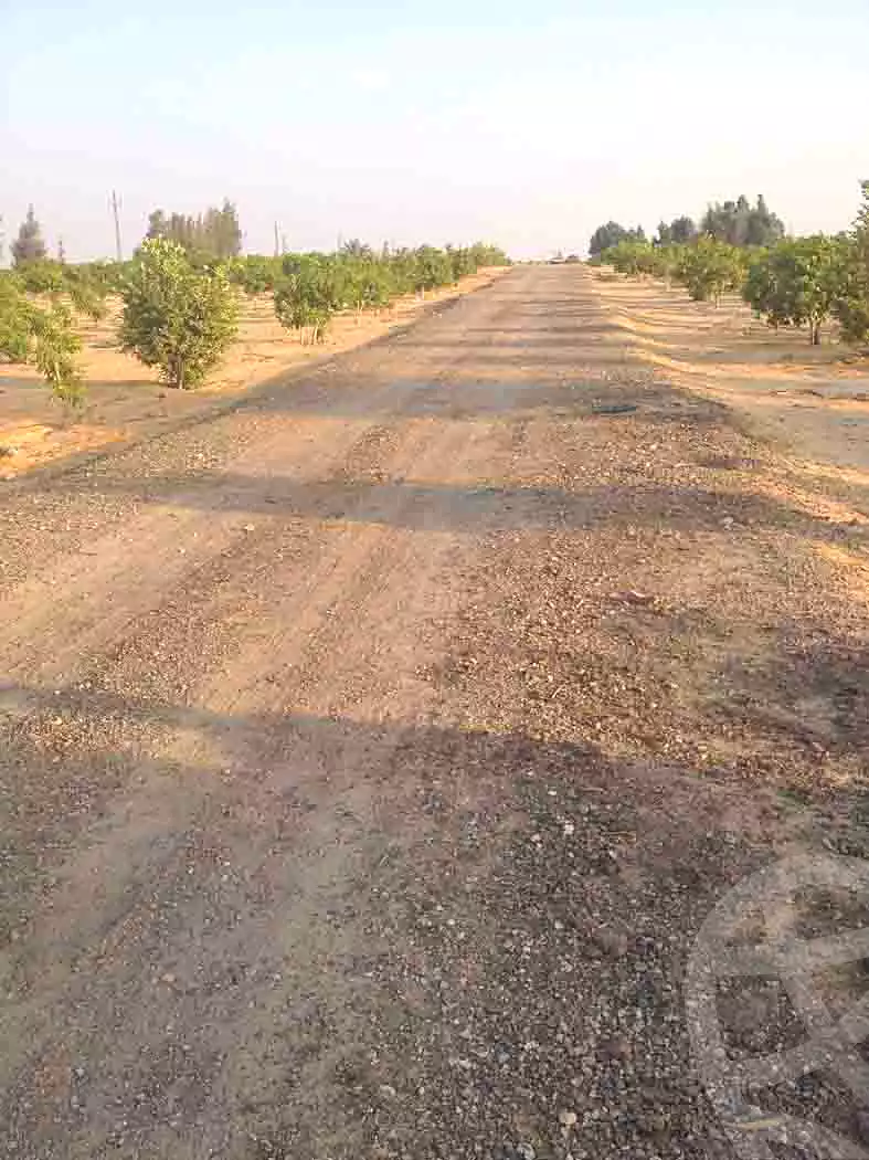 https://aqarmap.com.eg/en/listing/7239834-for-sale-cairo-el-sheikh-zayed-city-alex-cairo-desert-road-mdyn-sfnks-ljdyd