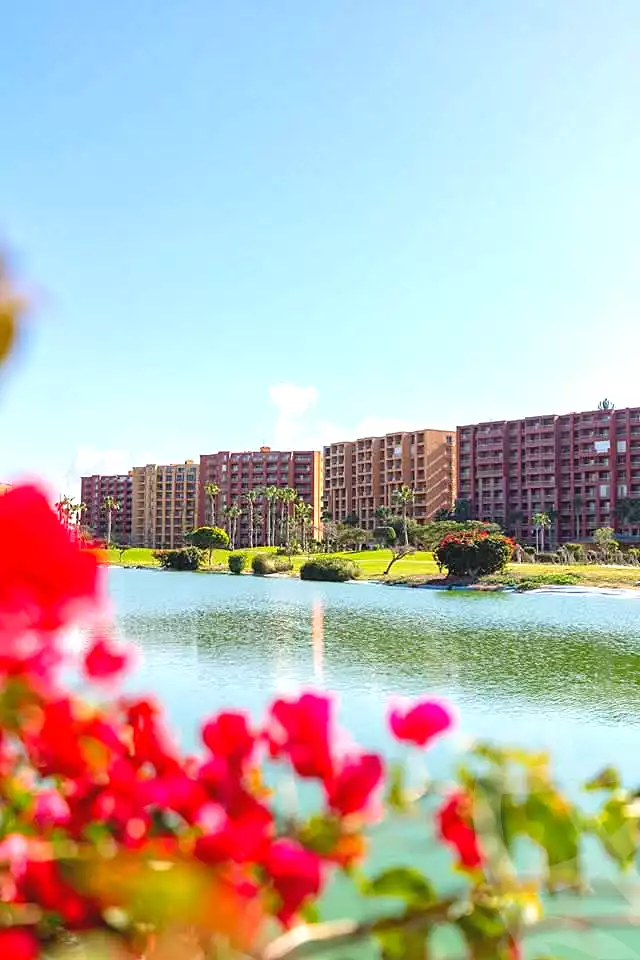 https://aqarmap.com.eg/ar/listing/7240933-for-sale-north-coast-resorts-porto-golf-marina