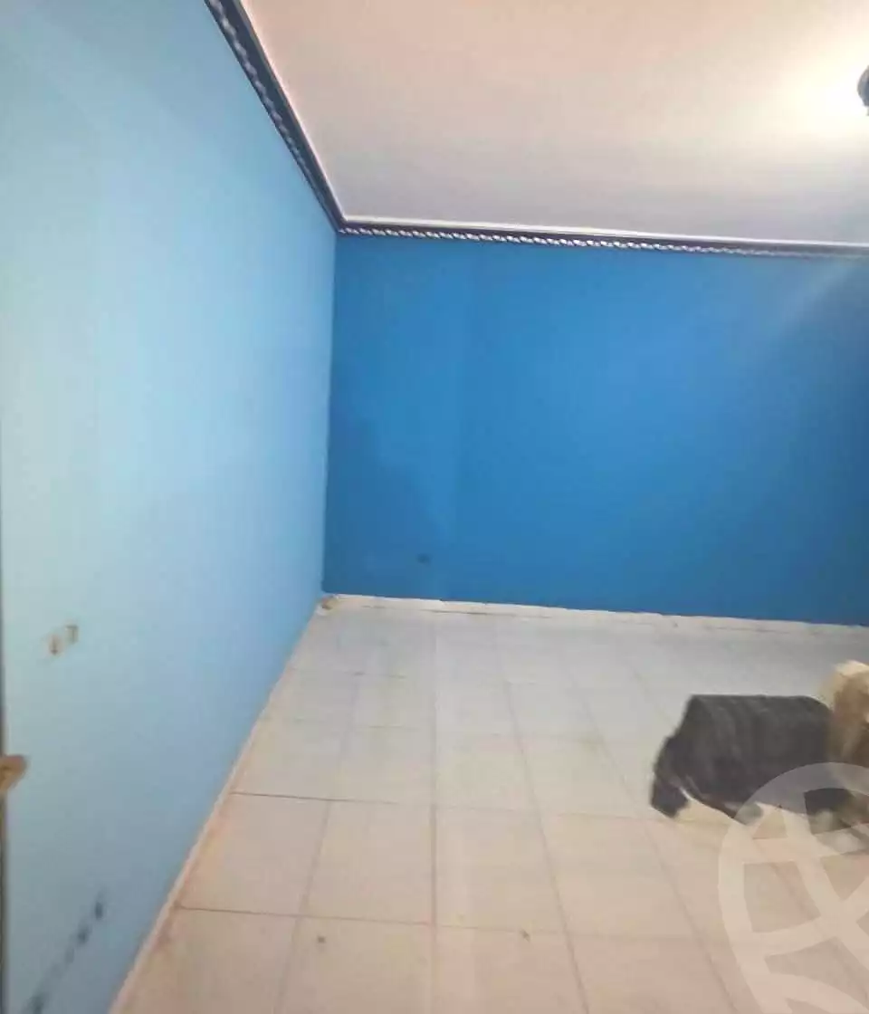 https://aqarmap.com.eg/ar/listing/7242947-for-sale-cairo-ain-shams-jsr-lswys-gamal-abd-el-naser-st