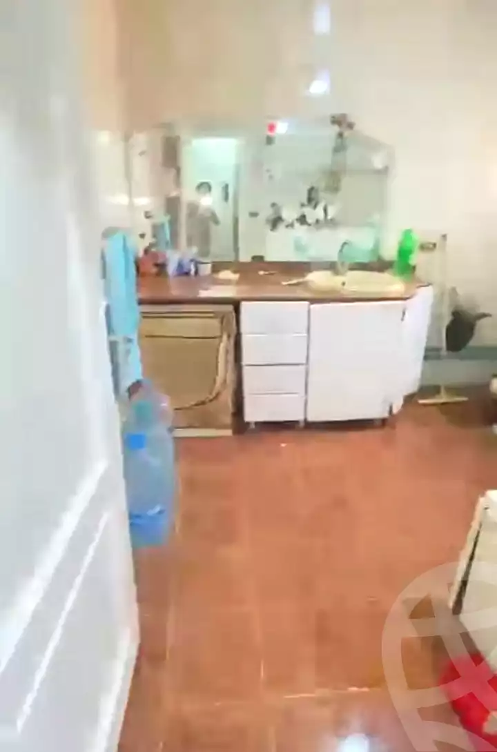 https://aqarmap.com.eg/en/listing/7245257-for-rent-cairo-ain-shams-abd-el-haleem-mahmoud-st