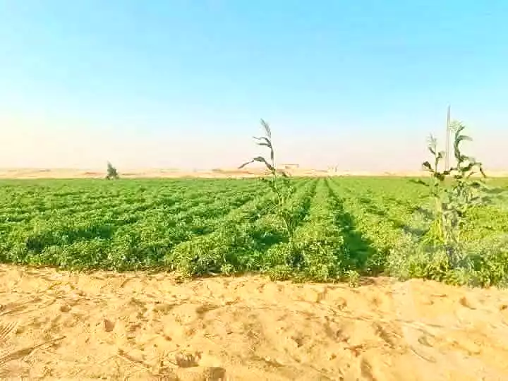 https://aqarmap.com.eg/en/listing/7245825-for-sale-cairo-ljyz-l-yt