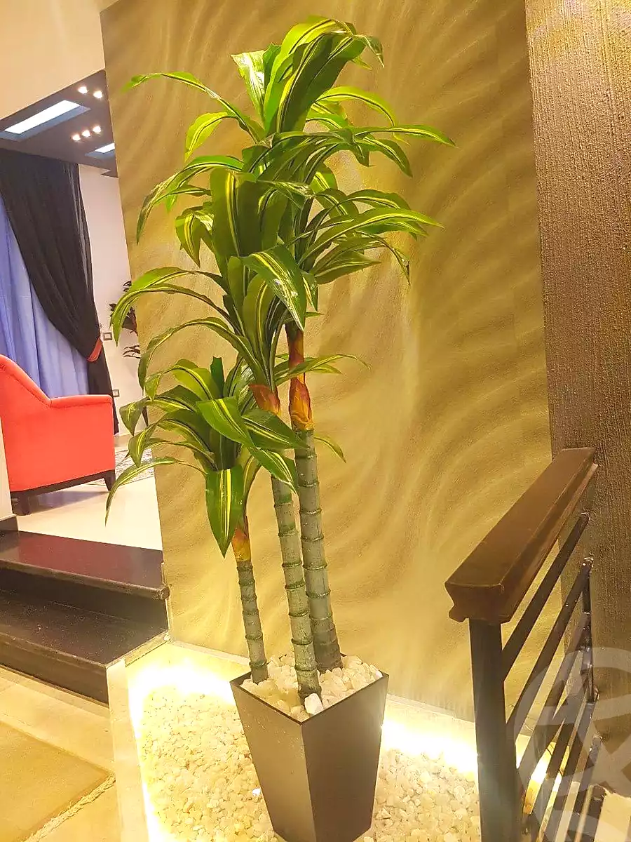 https://aqarmap.com.eg/ar/listing/7248767-for-sale-cairo-new-cairo-el-narges-el-narges-1-el-farik-aziz-el-masry-st