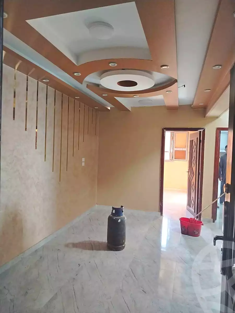 https://aqarmap.com.eg/en/listing/7250666-for-sale-cairo-ain-shams-mnshy-lthryr