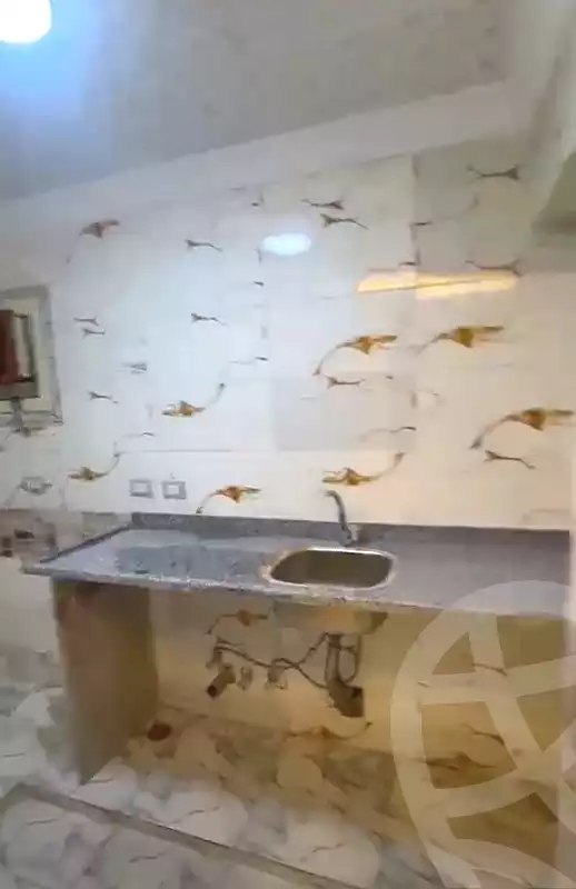 https://aqarmap.com.eg/en/listing/7251985-for-sale-cairo-ain-shams-jsr-lswys