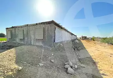https://aqarmap.com.eg/ar/listing/7252325-for-rent-el-fayoum-tamiya-tamiyyah-city