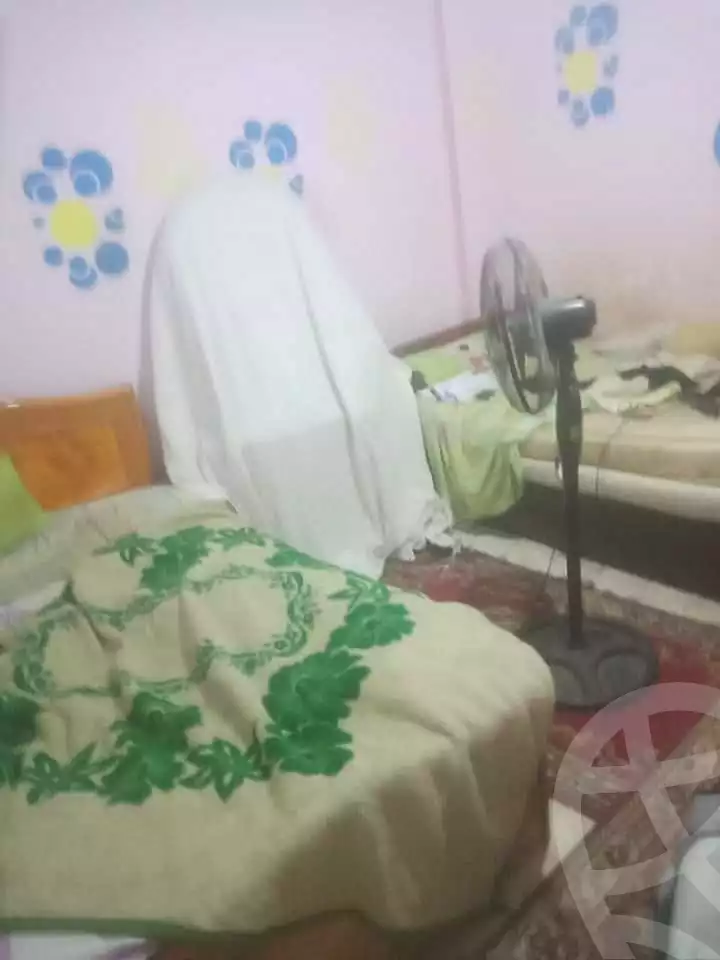 https://aqarmap.com.eg/ar/listing/7252423-for-sale-alexandria-sydy-bshr-sydy-bshr-bhry
