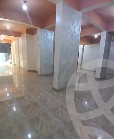 https://aqarmap.com.eg/en/listing/7259531-for-rent-alexandria-miami-45-street