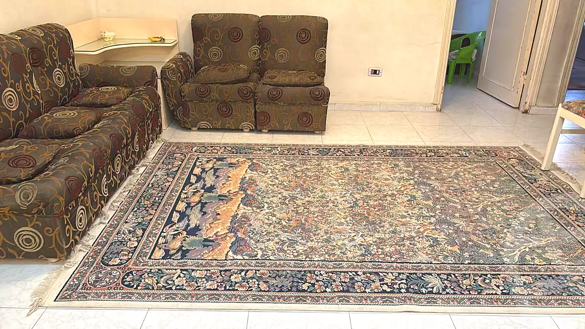 https://aqarmap.com.eg/ar/listing/7260130-for-sale-cairo-ain-shams-ahmed-esmat-st