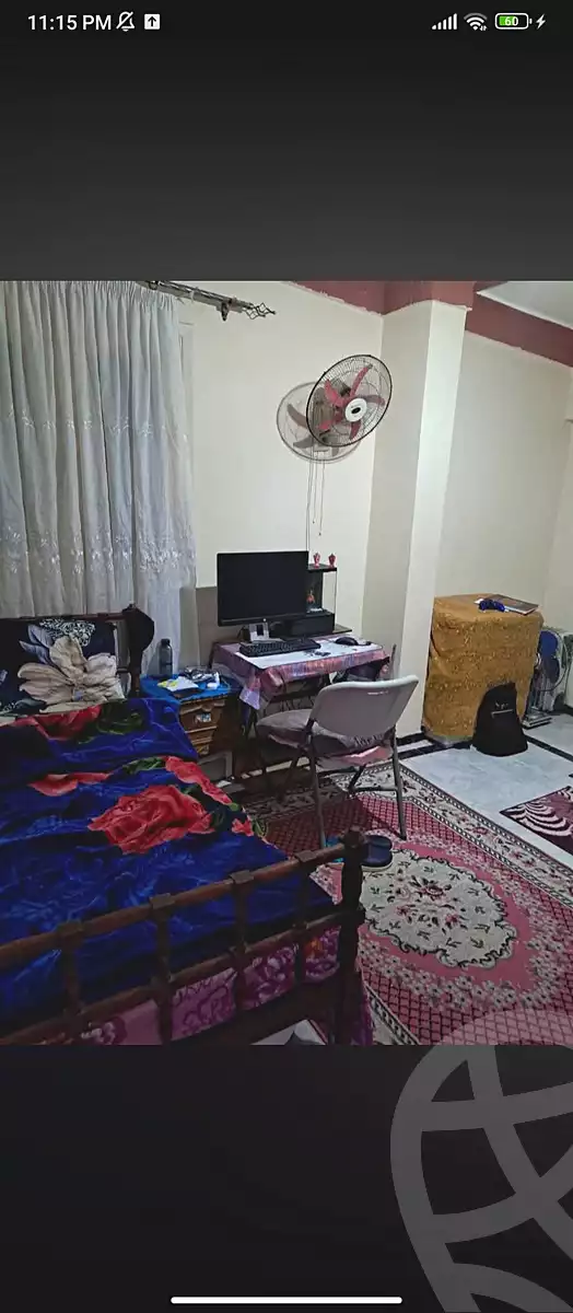 https://aqarmap.com.eg/en/listing/7264646-for-sale-alexandria-al-agamy-lbytsh-el-hay-st