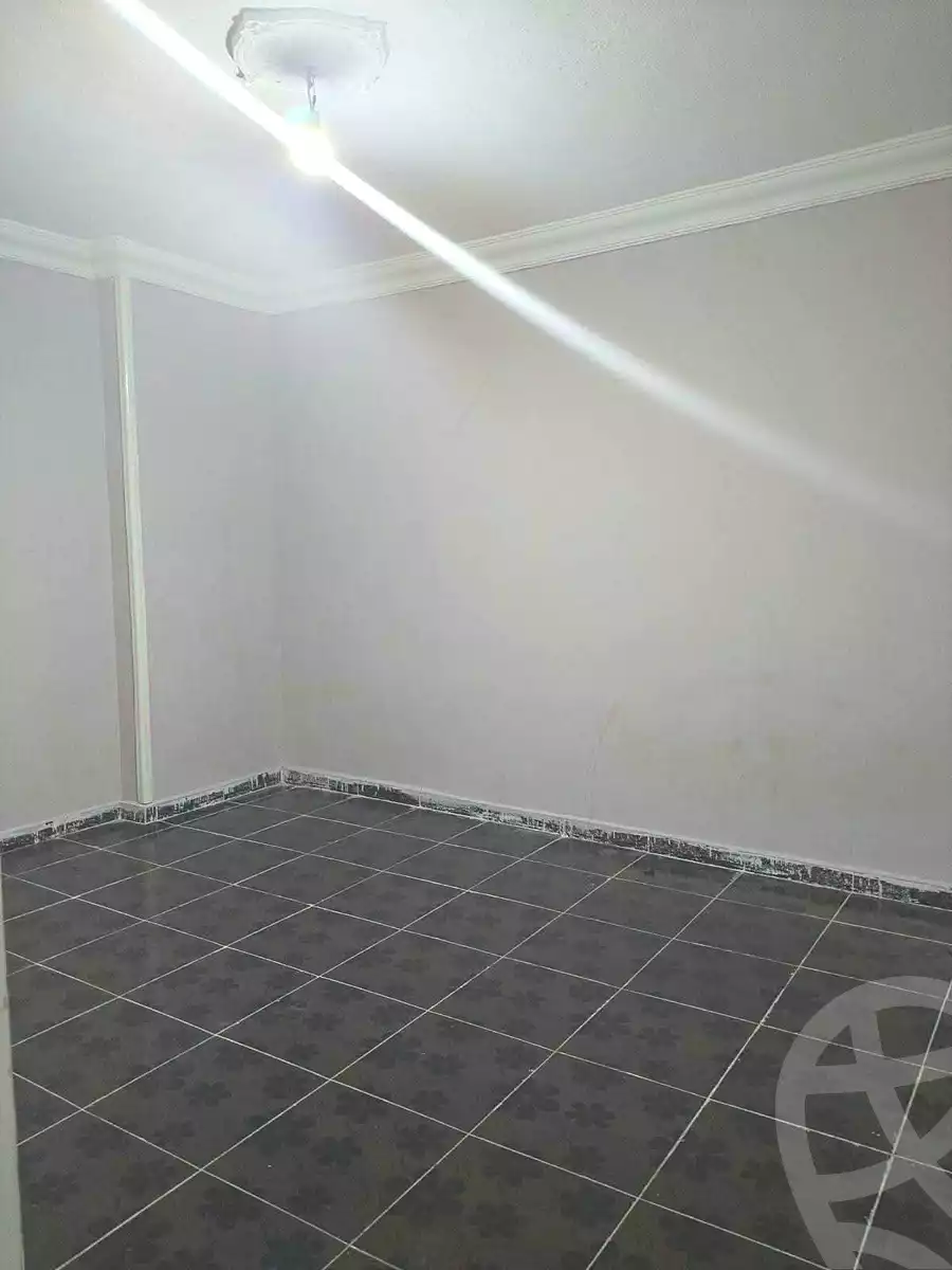 https://aqarmap.com.eg/ar/listing/7264871-for-rent-alexandria-miami-mahmoud-el-isawy-st